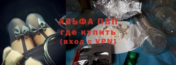 спиды Магас
