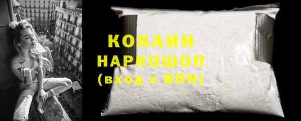спиды Магас