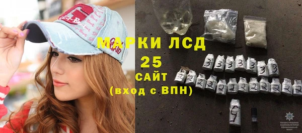 спиды Магас