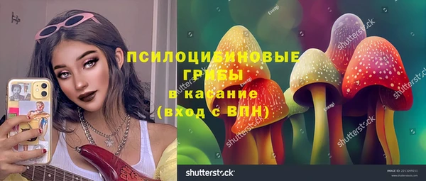 спиды Магас
