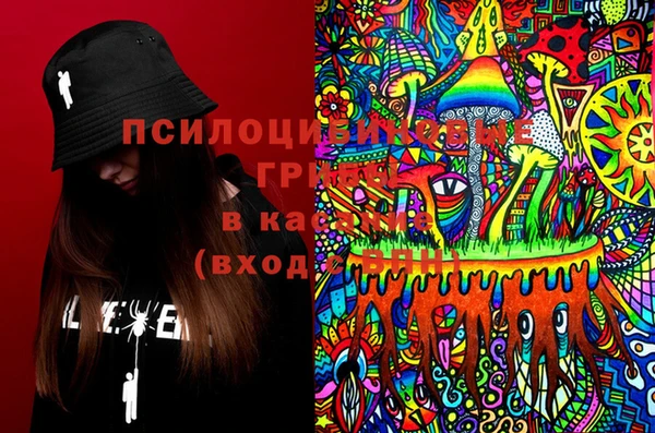 спиды Магас