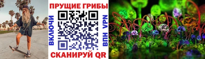 Купить  Котельнич  Псилоцибиновые грибы Cubensis 